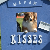 kissing-booth47