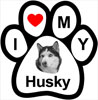 magnet-husky