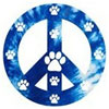 magnet-peace