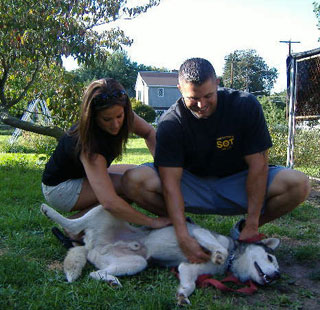 cyrus_adoption2