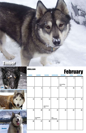 february