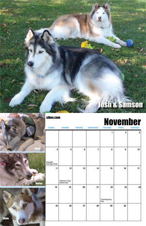 november