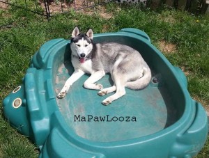 mplooza