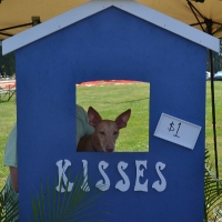 kissing-booth1