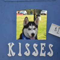 kissing-booth11