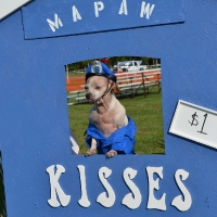 kissing-booth19