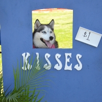kissing-booth2
