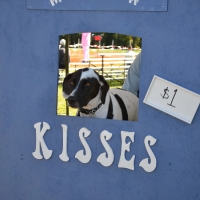 kissing-booth24