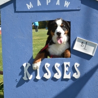 kissing-booth46