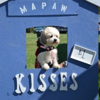 kissing-booth49