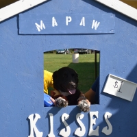 kissing-booth62