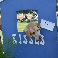 kissing-booth7