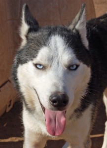 Romeo2